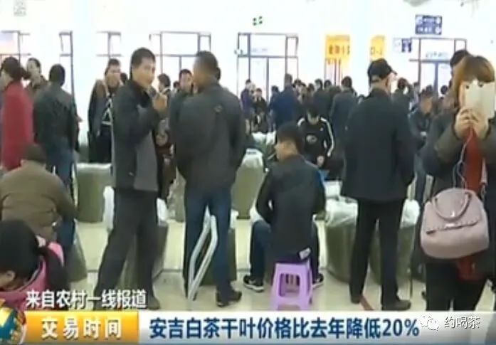 安吉白茶叶官方旗舰店_安吉茶叶批发市场_安吉白茶的茶叶