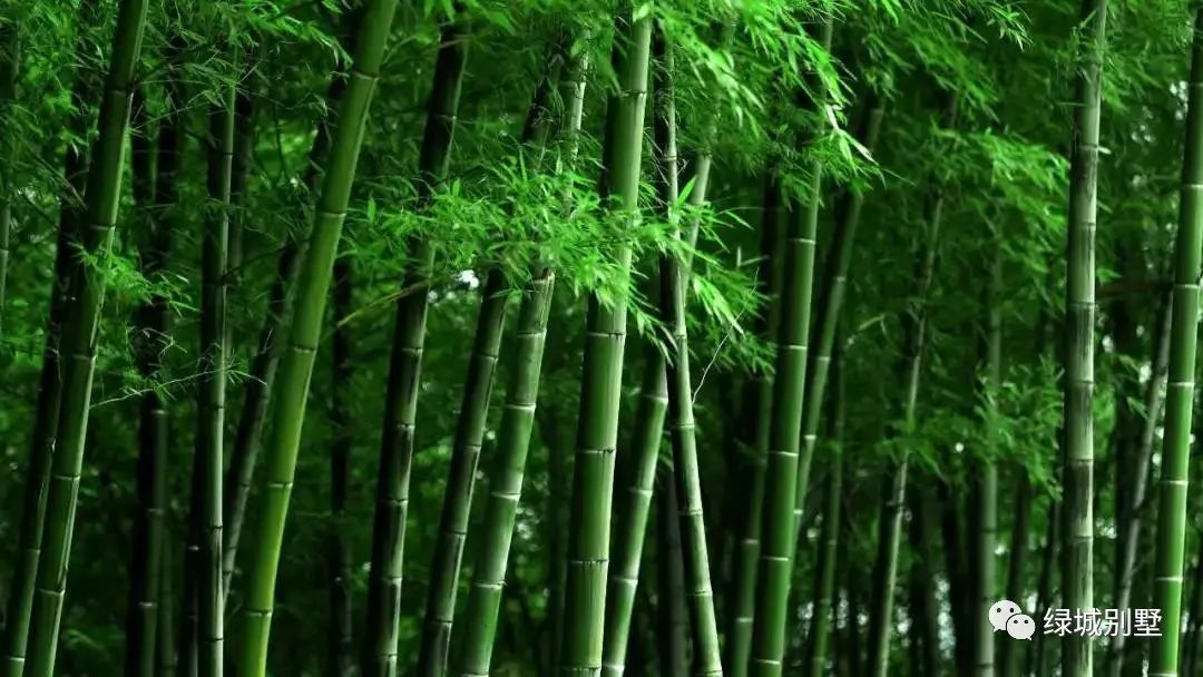 绿城安吉桃花源二手房_绿城安吉桃花源新竹园_安吉绿城桃花源四合院