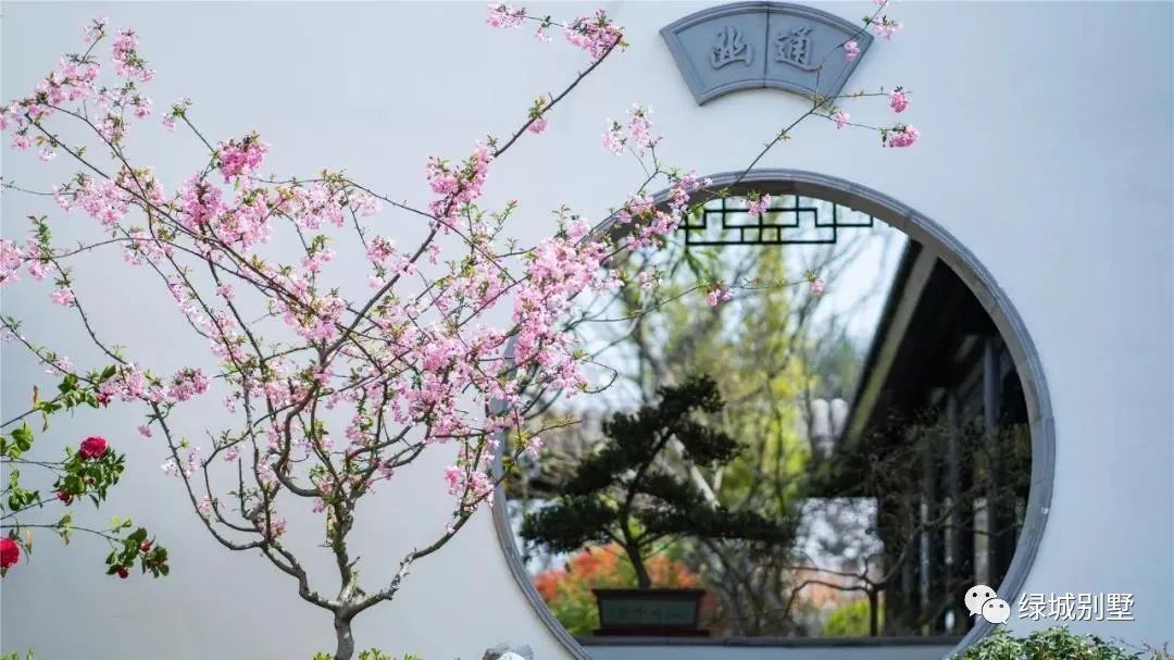 安吉绿城桃花源四合院_绿城安吉桃花源二手房_绿城安吉桃花源新竹园