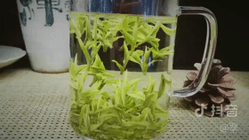 安吉茶叶合作社_安吉茶叶批发市场_安吉炒茶叶的机器厂家