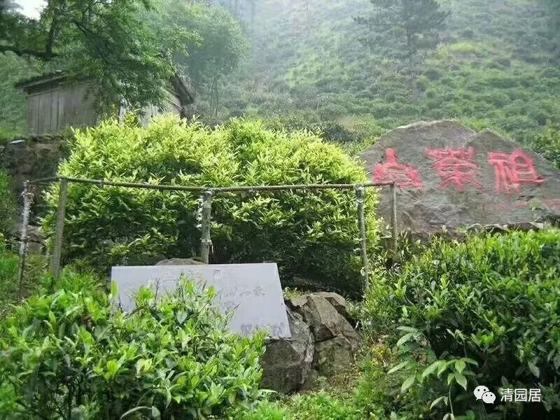 安吉茶叶合作社_安吉茶叶批发市场_安吉炒茶叶的机器厂家