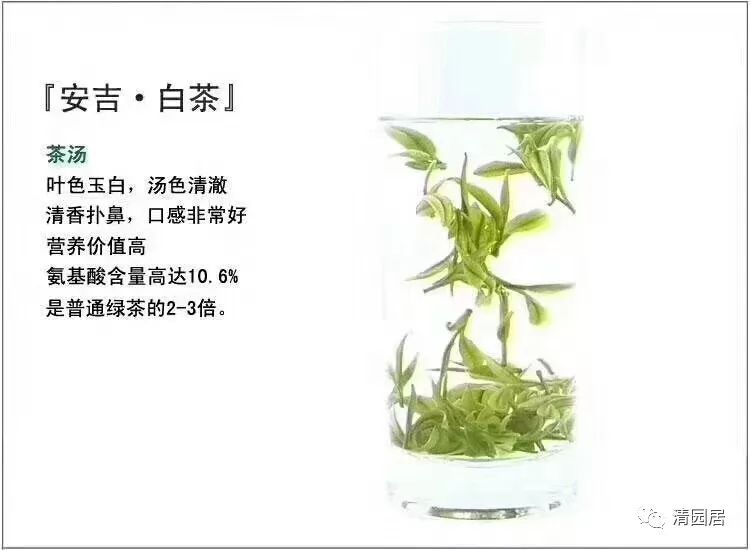 安吉茶叶合作社_安吉炒茶叶的机器厂家_安吉茶叶批发市场