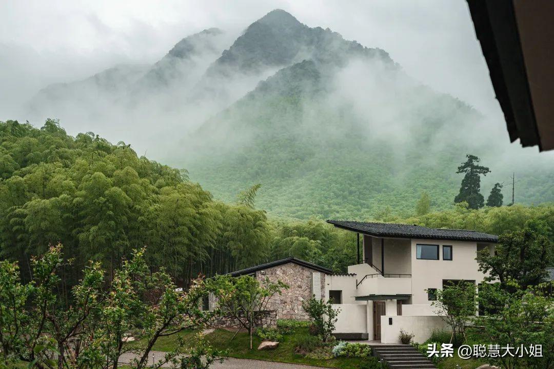 湖州,安吉,德清旅游_湖州安吉龙王山 酒店_湖州安吉酒店