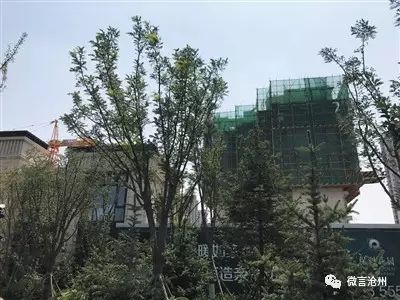 北京开发软件的公司_北京房地产开发公司 新盘_北京房地厂公司有哪些