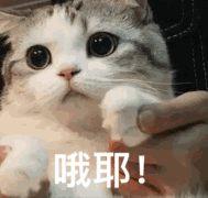 南宁安吉二手车_南宁二手宝骏车_南宁二手事故车拍卖网