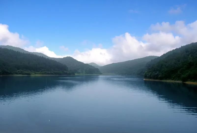 安吉竹乡国家森林公园_竹乡牌安吉白茶_浙江竹乡国家森林公园