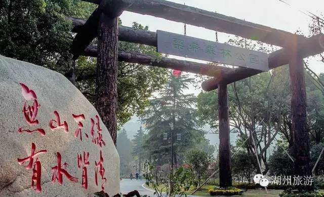 竹乡牌安吉白茶_浙江竹乡国家森林公园_安吉竹乡国家森林公园