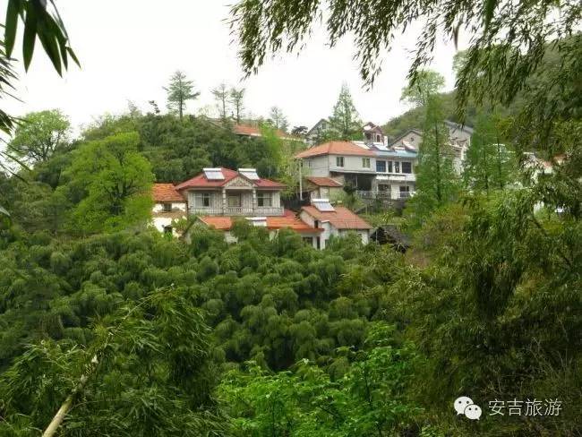 安吉董岭山庄怎么样_浙江安吉山庄_安吉董岭村农家乐哪家好