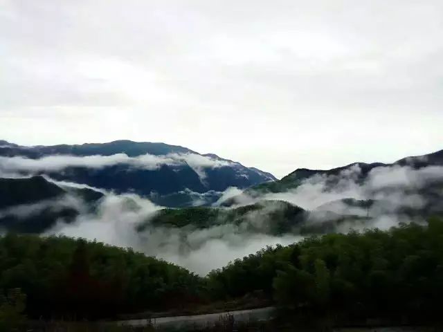 安吉朱丽娜霓裳情挑百度云_安吉一半云舍_安吉那山那舍电话