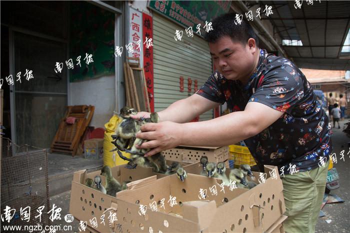南宁仓库厂房出租_南宁安吉仓库出租信息_南宁安吉仓库出租 大道