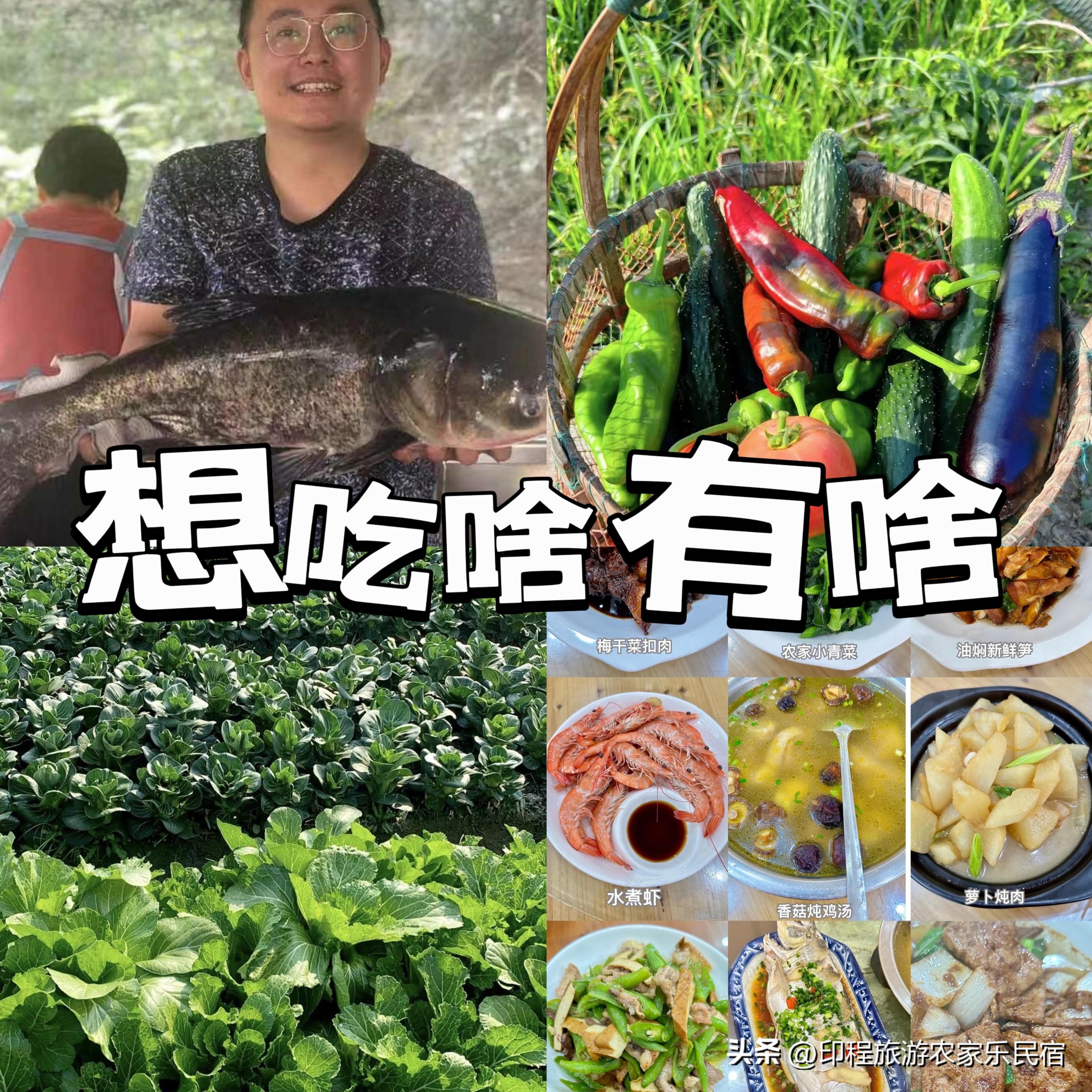 安吉农家乐游记_安吉特色农家乐_安吉农家乐人气排名