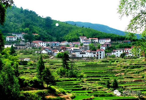 安吉山川乐居农家饭店_安吉山川乡农家乐_安吉山川乡民宿酒店