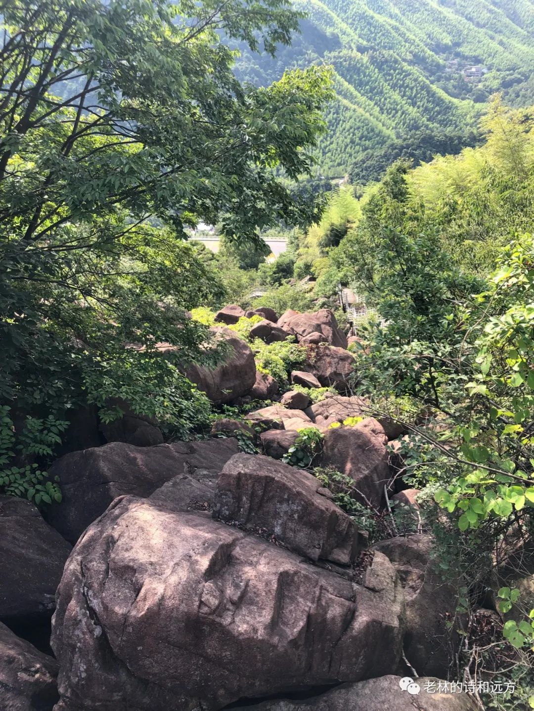 安吉大石浪景区关闭了吗_安吉大石浪图片_安吉大石浪索道景区破产