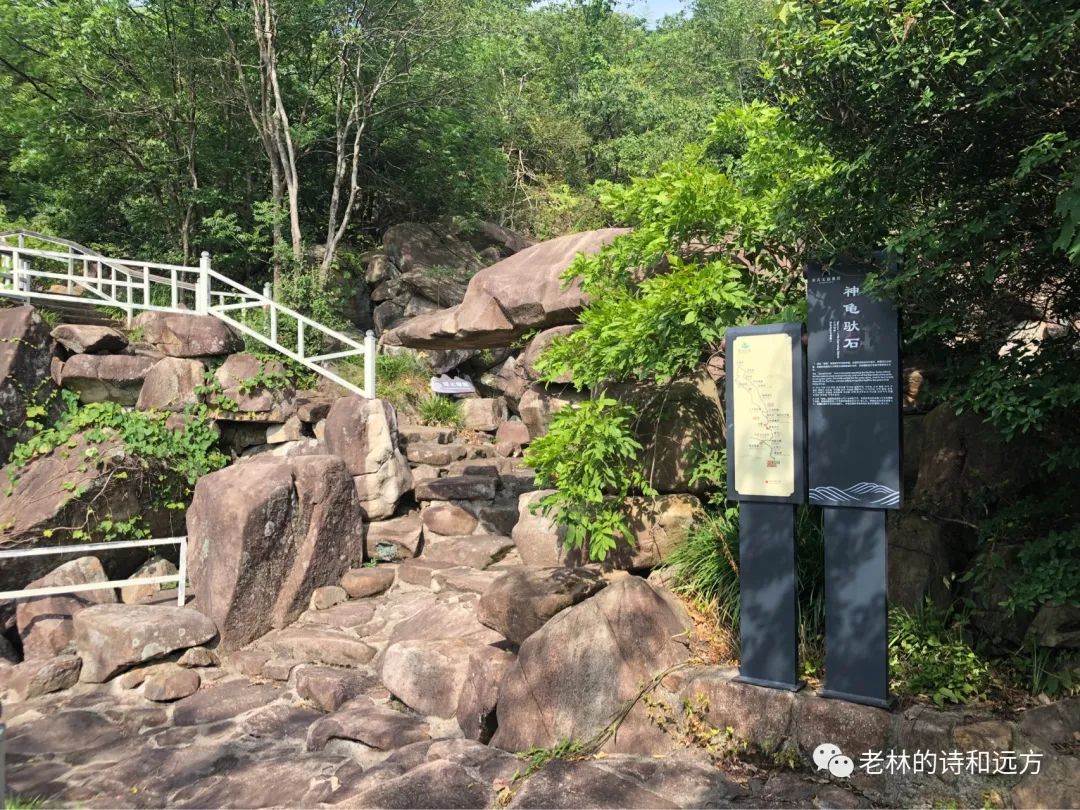 安吉大石浪索道景区破产_安吉大石浪图片_安吉大石浪景区关闭了吗