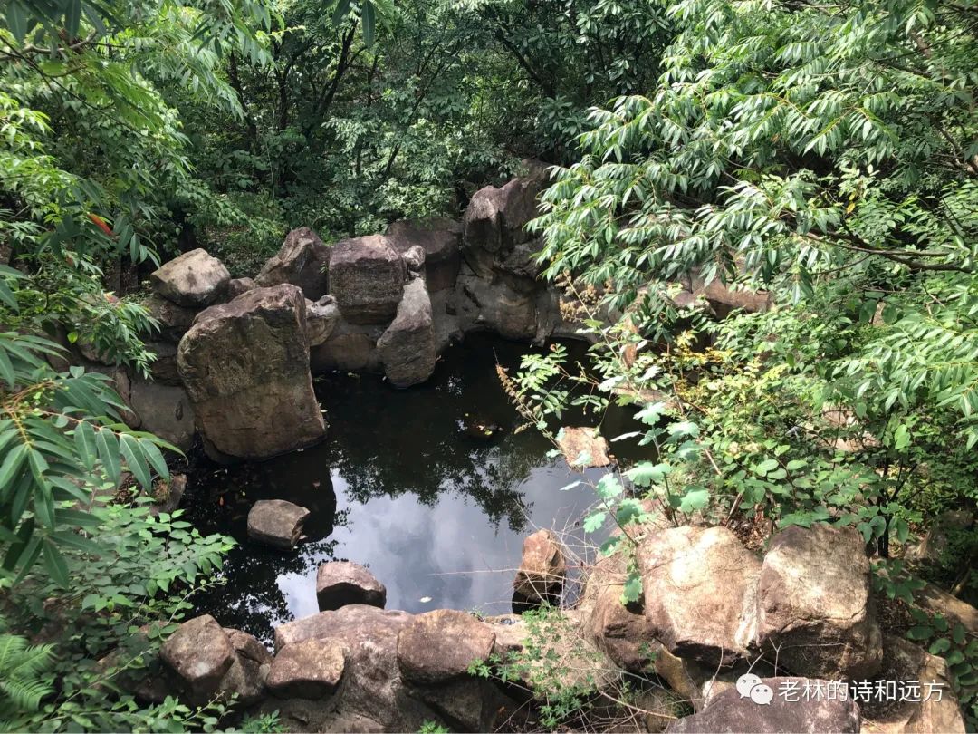 安吉大石浪景区关闭了吗_安吉大石浪索道景区破产_安吉大石浪图片