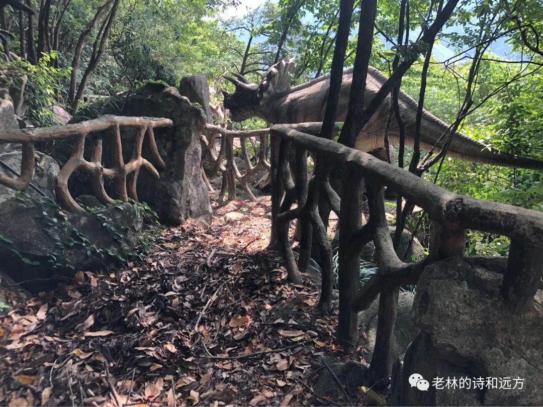 安吉大石浪景区关闭了吗_安吉大石浪索道景区破产_安吉大石浪图片