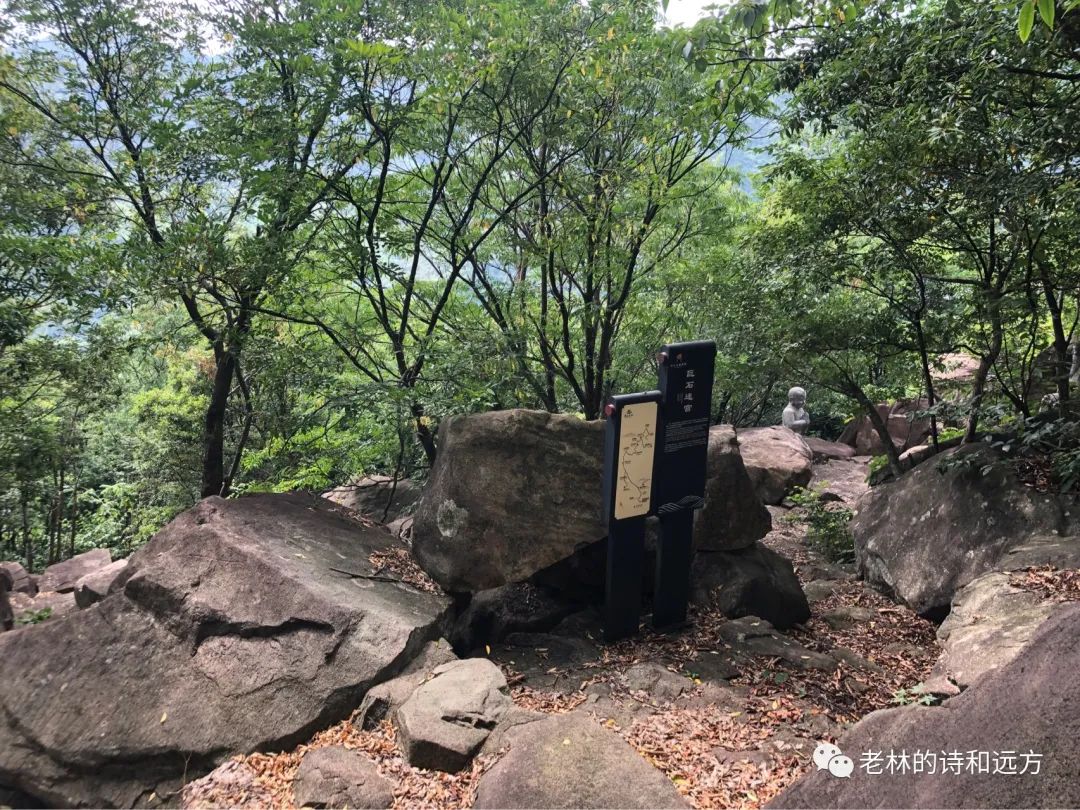 安吉大石浪景区关闭了吗_安吉大石浪图片_安吉大石浪索道景区破产