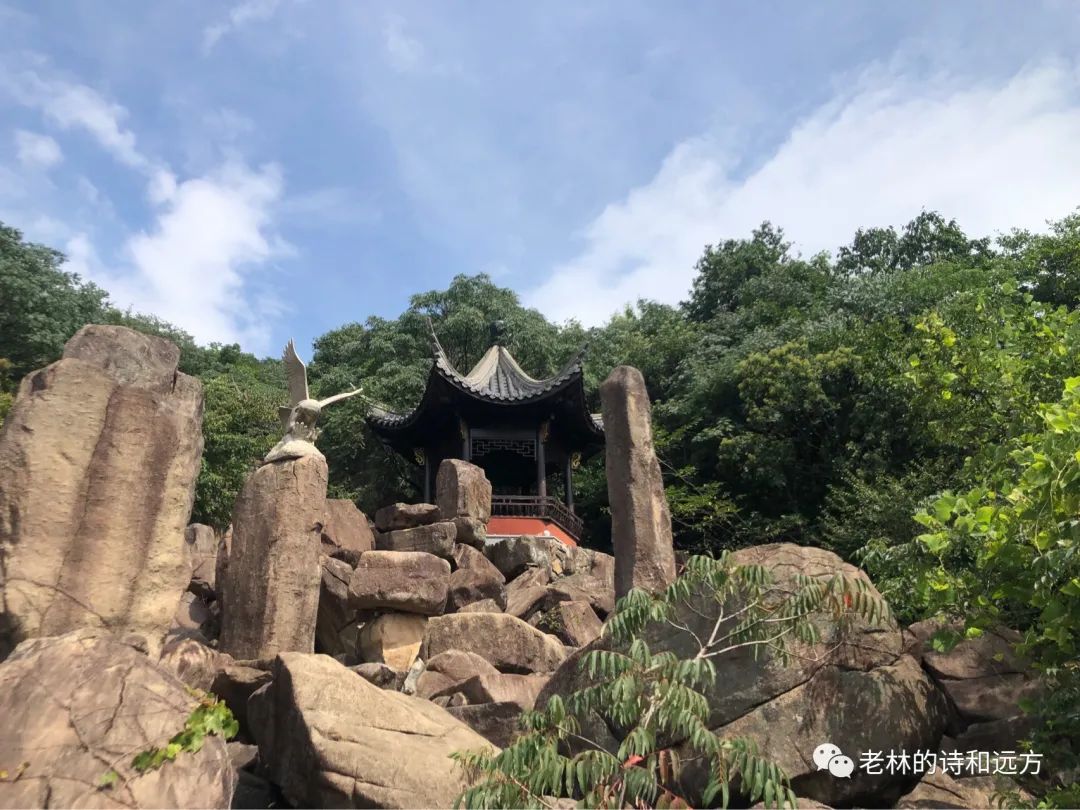 安吉大石浪景区关闭了吗_安吉大石浪图片_安吉大石浪索道景区破产
