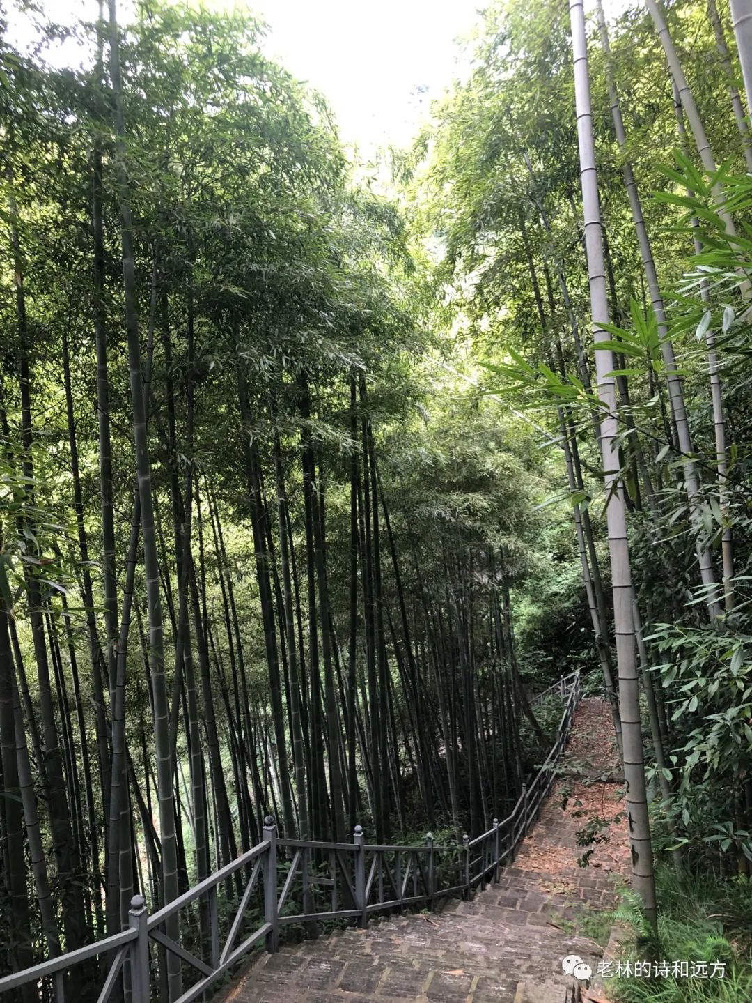 安吉大石浪索道景区破产_安吉大石浪图片_安吉大石浪景区关闭了吗