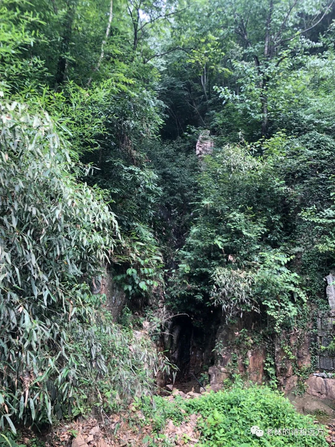 安吉大石浪图片_安吉大石浪索道景区破产_安吉大石浪景区关闭了吗