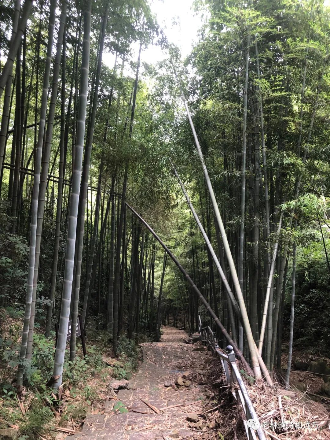 安吉大石浪图片_安吉大石浪景区关闭了吗_安吉大石浪索道景区破产