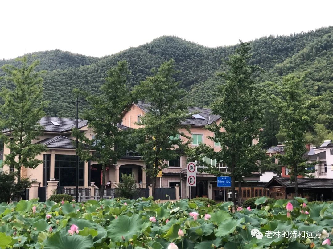 安吉大石浪图片_安吉大石浪景区关闭了吗_安吉大石浪索道景区破产