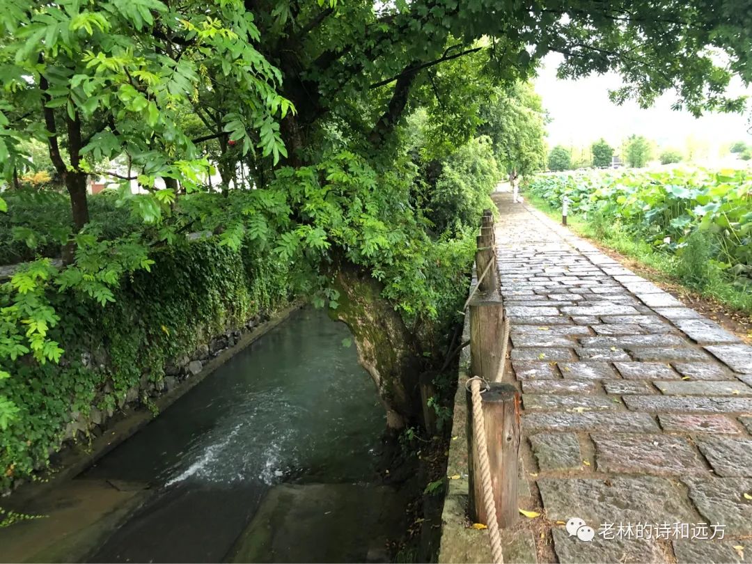 安吉大石浪图片_安吉大石浪景区关闭了吗_安吉大石浪索道景区破产