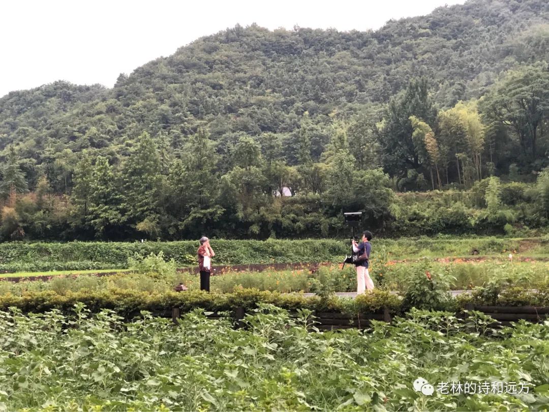 安吉大石浪索道景区破产_安吉大石浪景区关闭了吗_安吉大石浪图片