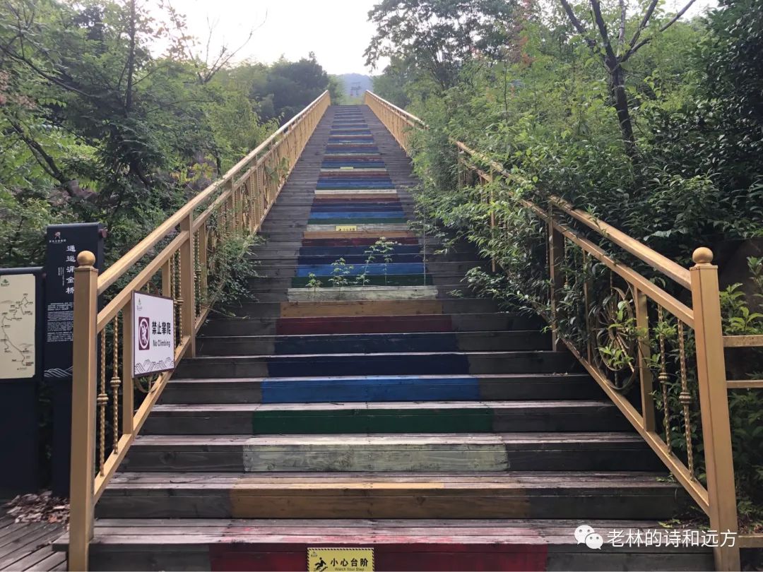 安吉大石浪索道景区破产_安吉大石浪图片_安吉大石浪景区关闭了吗