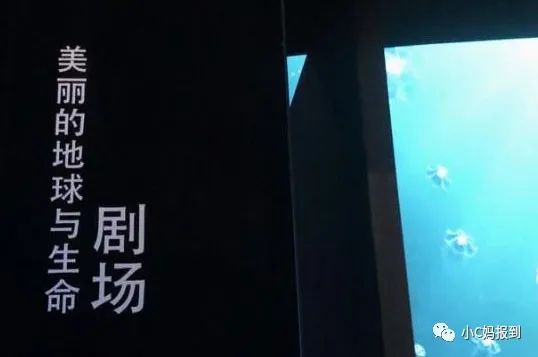 杭州到安吉一日游_杭州到安吉自驾游_杭州到安吉旅游攻略