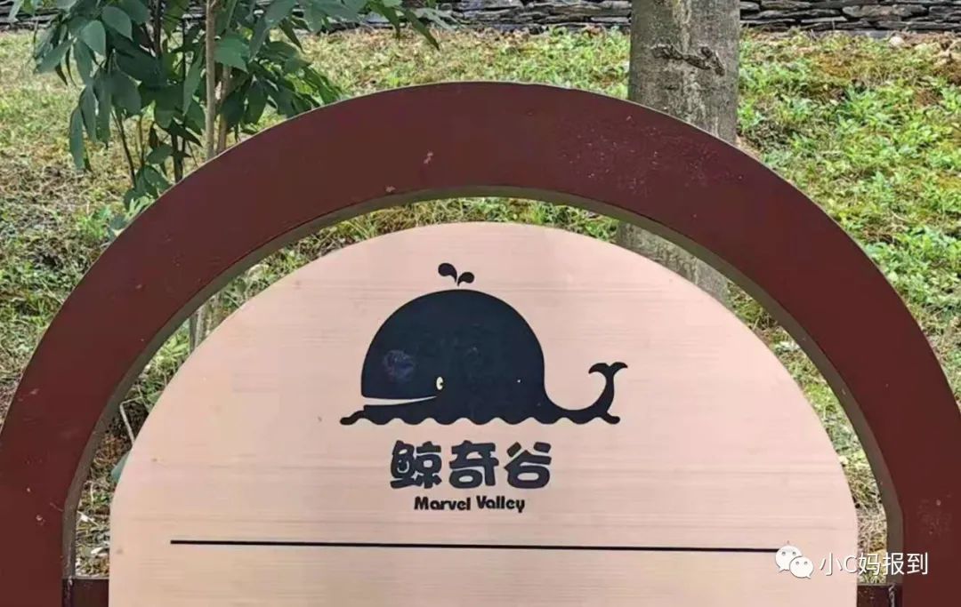 杭州到安吉旅游攻略_杭州到安吉一日游_杭州到安吉自驾游