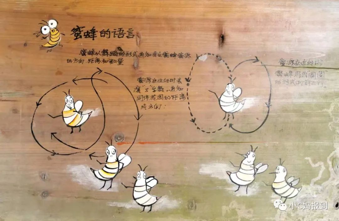 杭州到安吉旅游攻略_杭州到安吉一日游_杭州到安吉自驾游