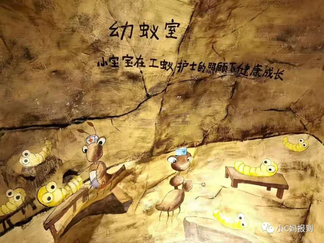 杭州到安吉一日游_杭州到安吉自驾游_杭州到安吉旅游攻略