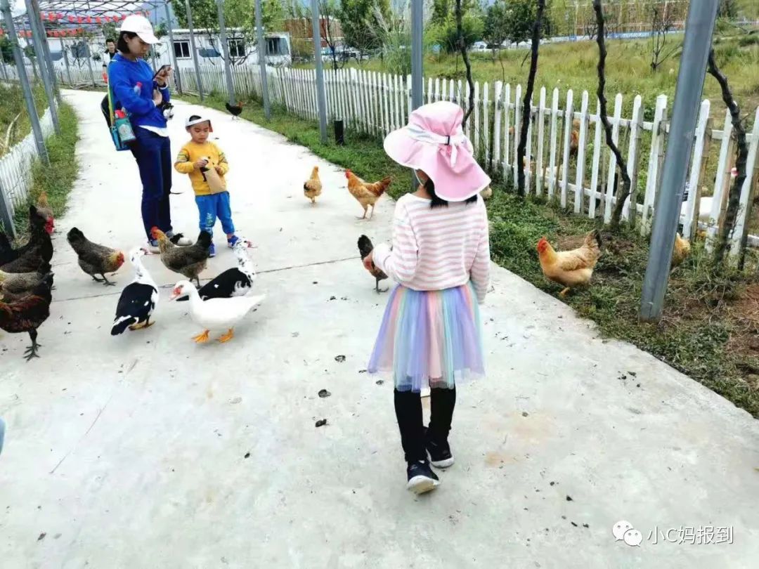 杭州到安吉旅游攻略_杭州到安吉自驾游_杭州到安吉一日游