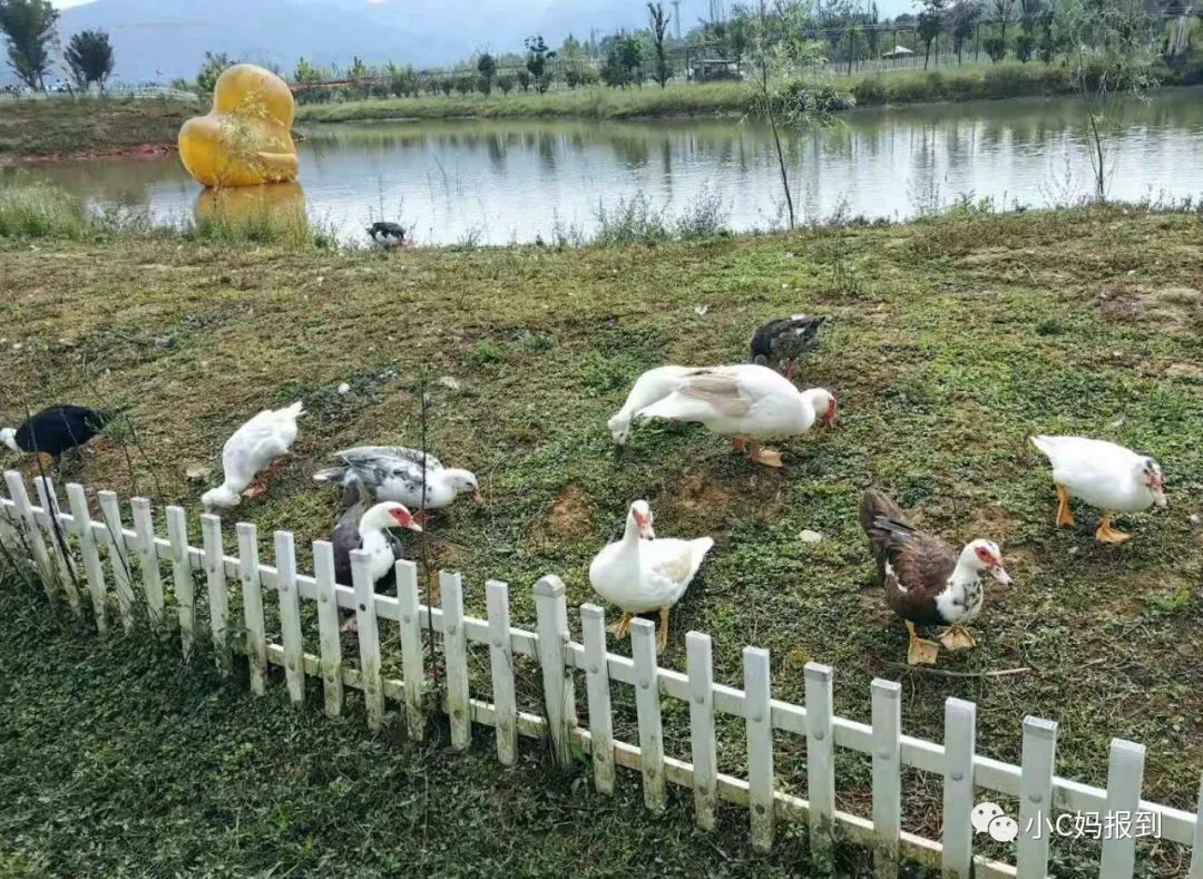 杭州到安吉自驾游_杭州到安吉一日游_杭州到安吉旅游攻略