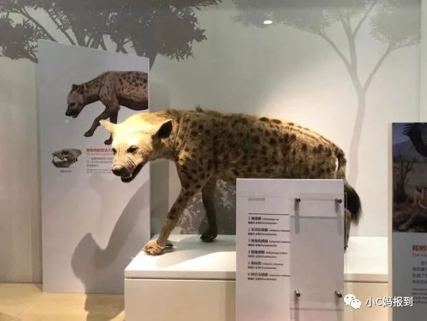 杭州到安吉旅游攻略_杭州到安吉自驾游_杭州到安吉一日游