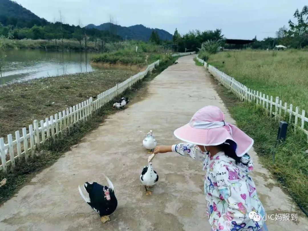 杭州到安吉一日游_杭州到安吉自驾游_杭州到安吉旅游攻略