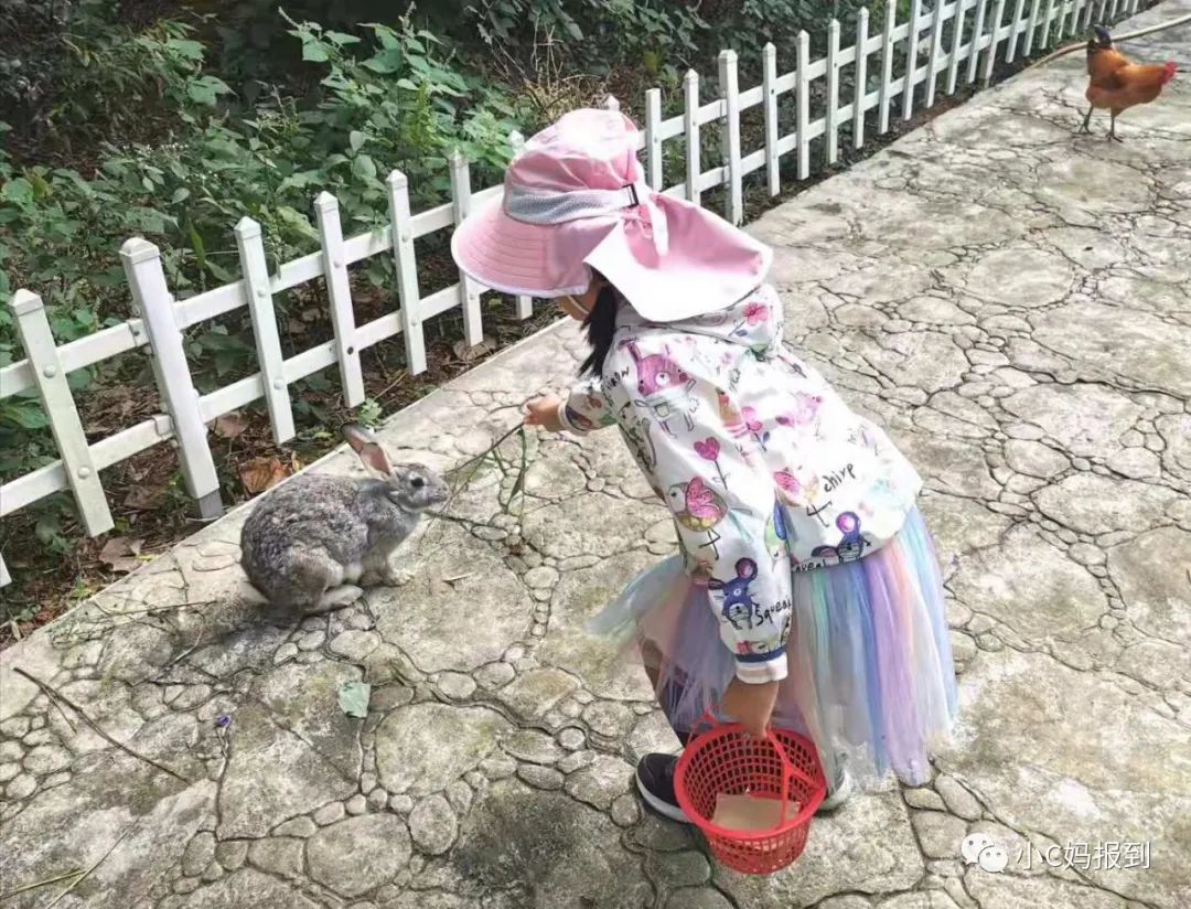杭州到安吉自驾游_杭州到安吉旅游攻略_杭州到安吉一日游