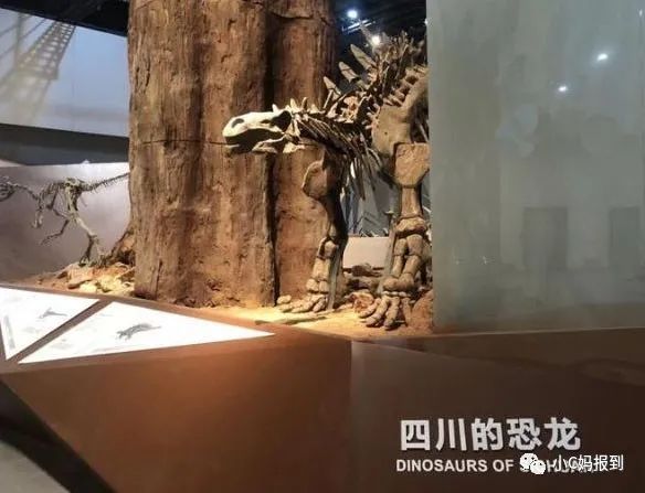 杭州到安吉旅游攻略_杭州到安吉自驾游_杭州到安吉一日游