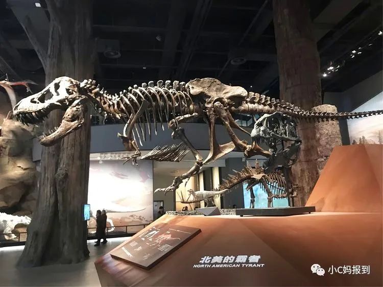 杭州到安吉旅游攻略_杭州到安吉自驾游_杭州到安吉一日游