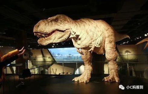 杭州到安吉自驾游_杭州到安吉旅游攻略_杭州到安吉一日游