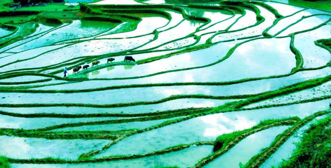 安吉房车旅游攻略_安吉房车营地_安吉房车露营地