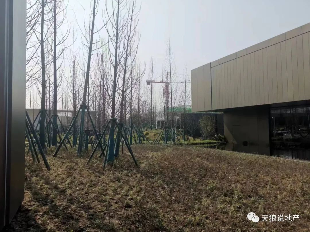 重庆21年新开楼盘_重庆2022年楼盘_重庆楼市2023年10月新开楼盘