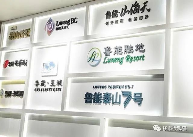 鲁能房地产开发公司_鲁能房地产公司_鲁能集团 房地产