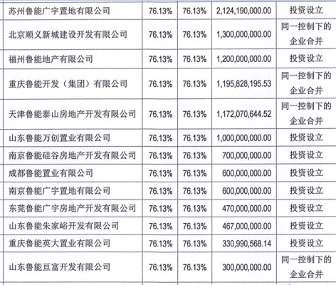 鲁能集团 房地产_鲁能房地产集团是国企吗_鲁能房地产公司