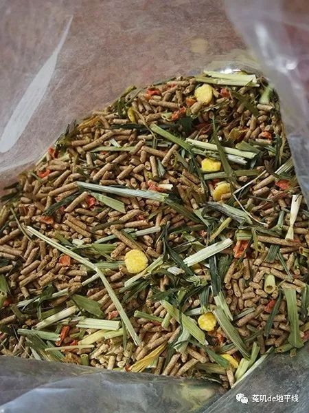 纽安吉兔粮好不好_纽铵吉兔粮怎么样_纽吉安兔粮怎么样