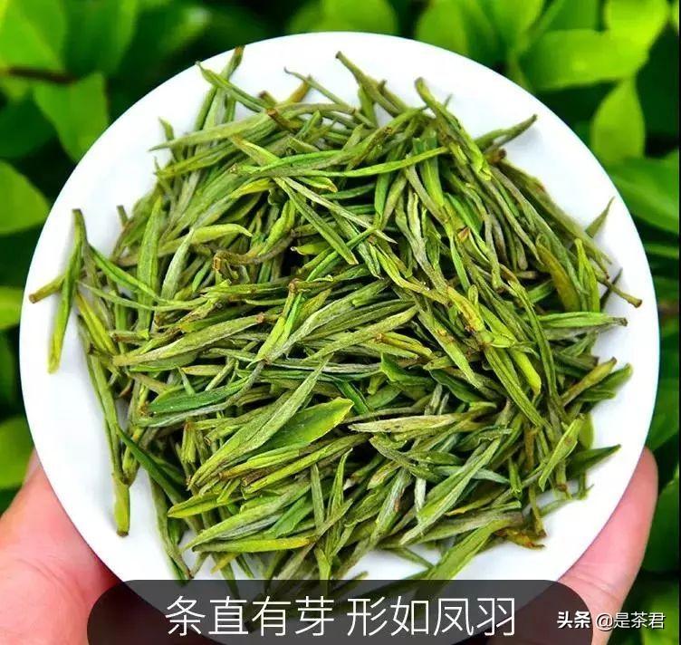 正宗安吉珍稀白茶_安吉白茶珍稀白茶_珍稀白茶+安吉