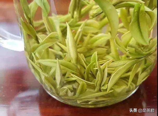 安吉白茶珍稀白茶_正宗安吉珍稀白茶_珍稀白茶+安吉