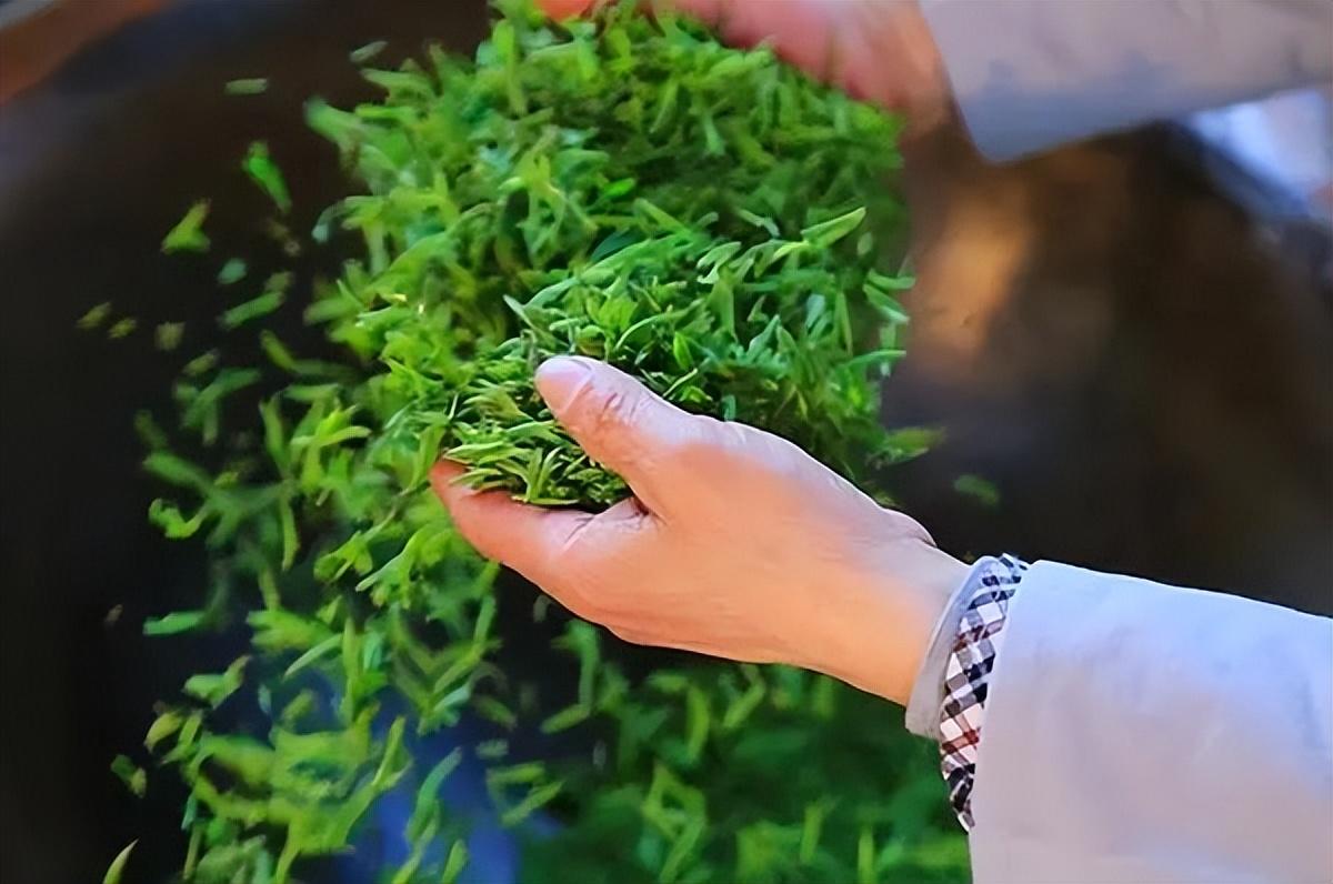 珍稀白茶+安吉_珍稀安吉白茶礼盒价格_珍稀安吉白茶多少钱一斤
