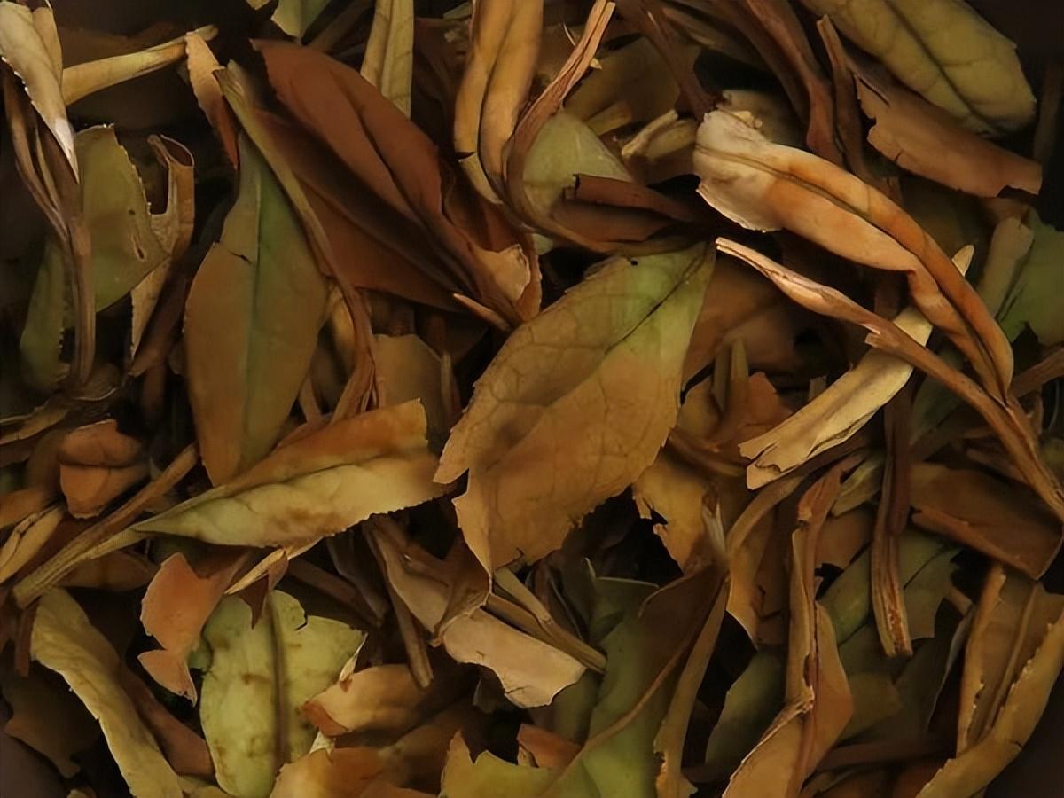 珍稀安吉白茶多少钱一斤_珍稀安吉白茶礼盒价格_珍稀白茶+安吉